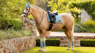 LeMieux Loire Classic Dressage Pad Aqua 3 | Saddles Direct