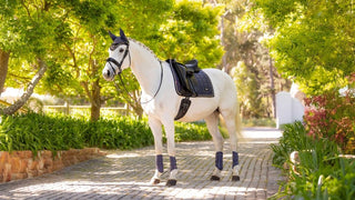 LeMieux Loire Classic Dressage Pad Dusk Blue 2 | Saddles Direct