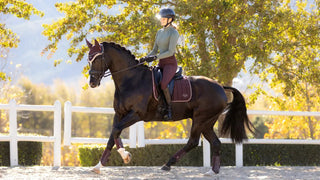 Lemieux Loire Classic Dressage Square Damson 2 | Saddles Direct