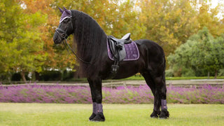 Lemieux Loire Classic Dressage Square Juniper 2 | Saddles Direct