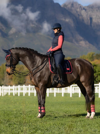 Lemieux Loire Classic Dressage Square Navy/Cranberry 2 | Saddles Direct