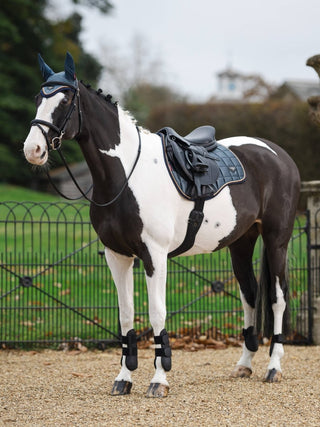 LeMieux Loire Classic GP Pad Petrol 2 | Saddles Direct