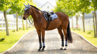 Lemieux Loire Classic GP Square Powder Blue 2 | Saddles Direct