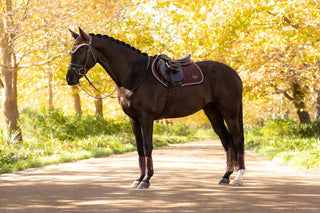 Lemieux Loire Classic Saddle Pad Damson 11 | Saddles Direct