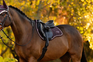 Lemieux Loire Classic Saddle Pad Damson 4 | Saddles Direct