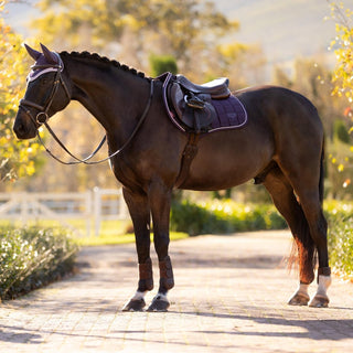 Lemieux Loire Classic Saddle Pad Juniper 6 | Saddles Direct