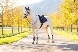 Lemieux Loire Classic Saddle Pad Juniper 10 | Saddles Direct