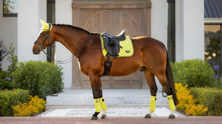 LeMieux Loire Classic Saddle Pad Kiwi 2 | Saddles Direct