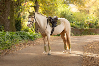 LeMieux Loire Classic Square Saddle Pad Gooseberry 5 | Saddles Direct