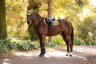 LeMieux Loire Classic Square Saddle Pad Gooseberry 7 | Saddles Direct