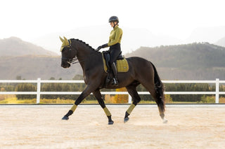 LeMieux Loire Classic Square Saddle Pad Gooseberry 9 | Saddles Direct