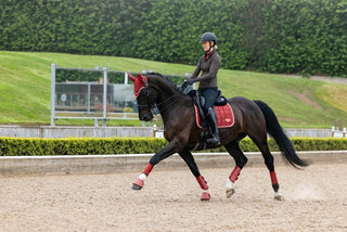 LeMieux Loire Classic Square Saddle Pad Russet 9 | Saddles Direct