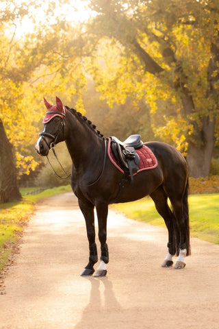 LeMieux Loire Classic Square Saddle Pad Russet 8 | Saddles Direct