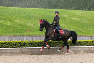 LeMieux Loire Classic Square Saddle Pad Russet 10 | Saddles Direct