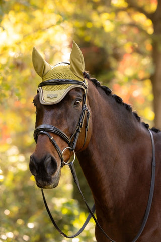LeMieux Loire Fly Hood Gooseberry 2 | Saddles Direct