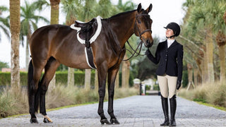 LeMieux Merino+ Hunter / Showing Saddle Pad White 3 | Saddles Direct