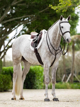 LeMieux Merino+ Hunter / Showing Saddle Pad White 2 | Saddles Direct