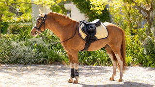 LeMieux Mini Suede Close Contact Square Mimosa 2 | Saddles Direct