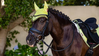 LeMieux Mini Suede Jump Saddle Pad & Ears Set Kiwi 4 | Saddles Direct