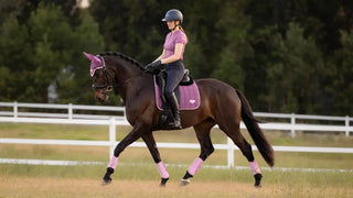 Lemieux New Loire Classic Dressage Square Mallow 2 | Saddles Direct