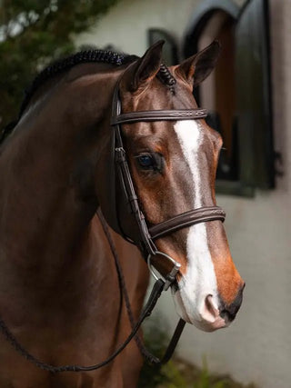 LeMieux Stitched Hunter Bridle with Laced Reins 3 | Saddles Direct