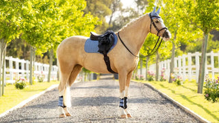 Lemieux Suede Close Contact Square Powder Blue 2 | Saddles Direct