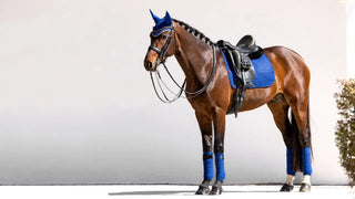 LeMieux Suede Dressage Square Benetton Blue 2 | Saddles Direct