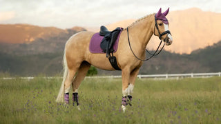 Lemieux Suede Dressage Square Mallow 2 | Saddles Direct