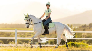 Lemieux Suede GP Square Macaron 2 | Saddles Direct