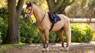 Lemieux Suede GP Square Navy/Cranberry 2 | Saddles Direct