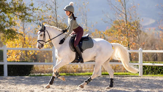 Lemieux Suede GP Square Rosemary 2 | Saddles Direct