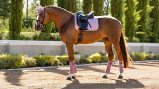 LeMieux Suede Saddle Pad Musk 2 | Saddles Direct