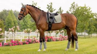 LeMieux Classic Polo Bandages Set Fern 3 | Saddles Direct
