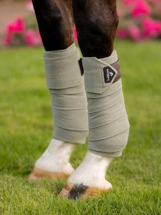 LeMieux Classic Polo Bandages Set Fern 2 | Saddles Direct