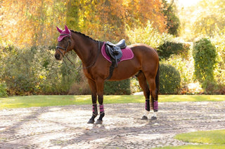 LeMieux Suede Square Saddle Pad Blackberry 5 | Saddles Direct