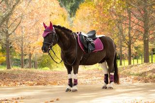 LeMieux Suede Square Saddle Pad Blackberry 6 | Saddles Direct
