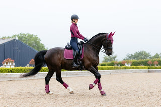 LeMieux Suede Square Saddle Pad Blackberry 7 | Saddles Direct