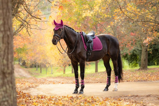 LeMieux Suede Square Saddle Pad Blackberry 8 | Saddles Direct