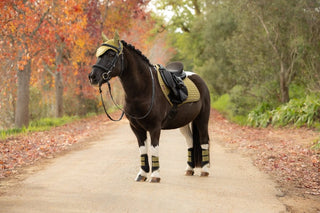 LeMieux Suede Square Saddle Pad Gooseberry 7 | Saddles Direct