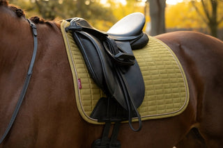 LeMieux Suede Square Saddle Pad Gooseberry 5 | Saddles Direct