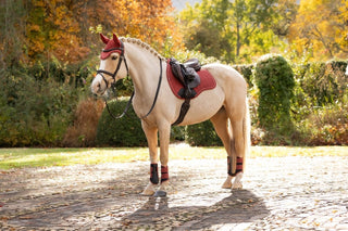 LeMieux Suede Square Saddle Pad Russet 11 | Saddles Direct