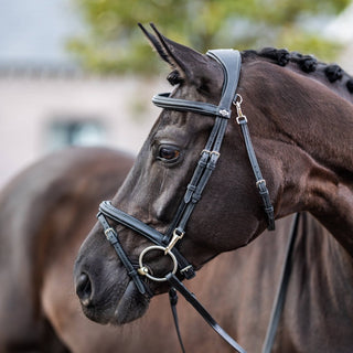 LeMieux Work Bridle & Reins Bundle Black 1 | Saddles Direct