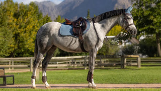 LeMiuex Suede Close Contact Square Ice Blue 2 | Saddles Direct