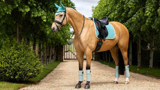 LeMiuex Suede Dressage Saddle Pad Lagoon 3 | Saddles Direct