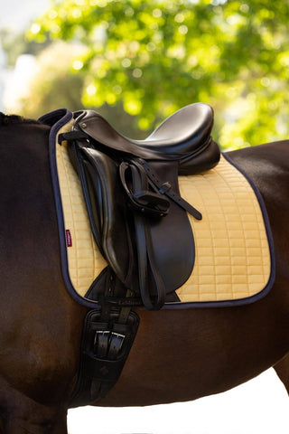 LeMiuex Suede Dressage Saddle Pad Mimosa 2 | Saddles Direct